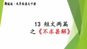 九年级下册第13课之 《不求甚解》