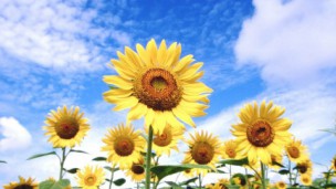 几何压轴题目中如何求解析式