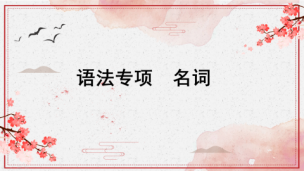 语法专项——名词