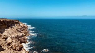 新中考跨学科案例分析